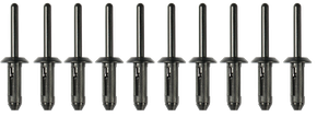 Plastic rivets